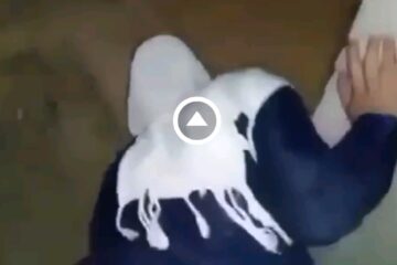 سكس جزائري نيك محلي جديد حجابي سر سعادتي في مكان العمل - سكس عربي