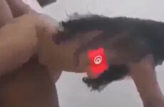 سكس تونسية هايجة تحب تركب فوق الزب وتجيبها - سكس عربي